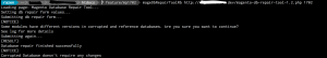 Ruby DB Repair Tool Console Output