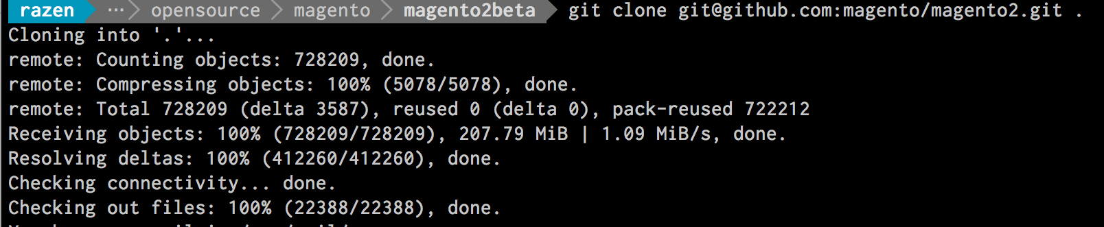 Git Clone Magento2